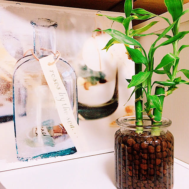 棚/ミリオンバンブー/アートのある暮らし/一人暮らしインテリア/観葉植物のある部屋...などのインテリア実例 - 2017-11-12 23:11:42