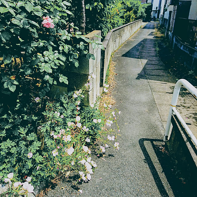 実例写真
