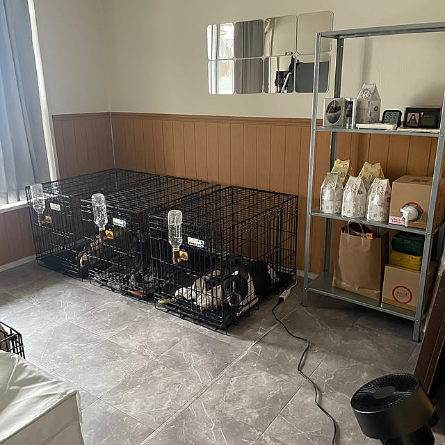 oggy0301さんの部屋