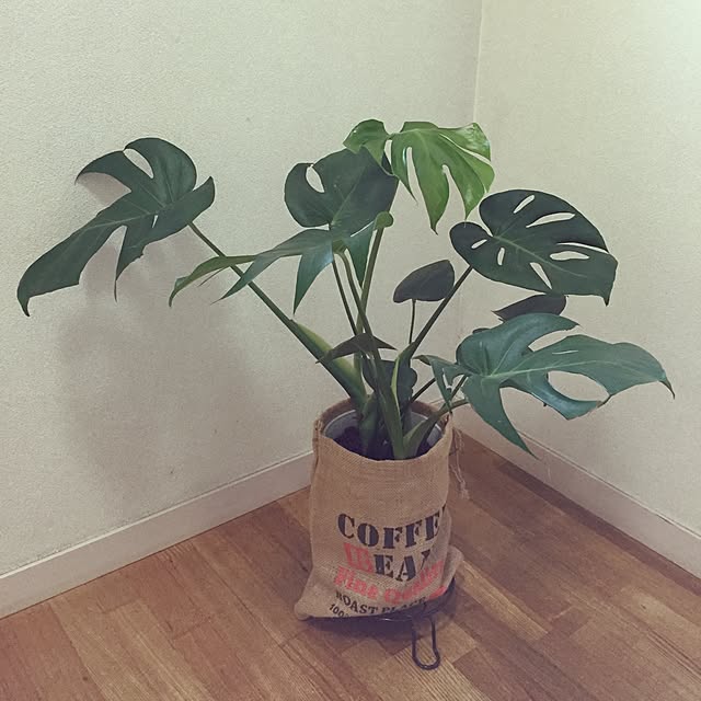 erieriさんの実例写真