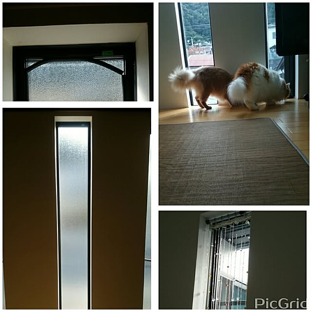 1ldksさんの実例写真