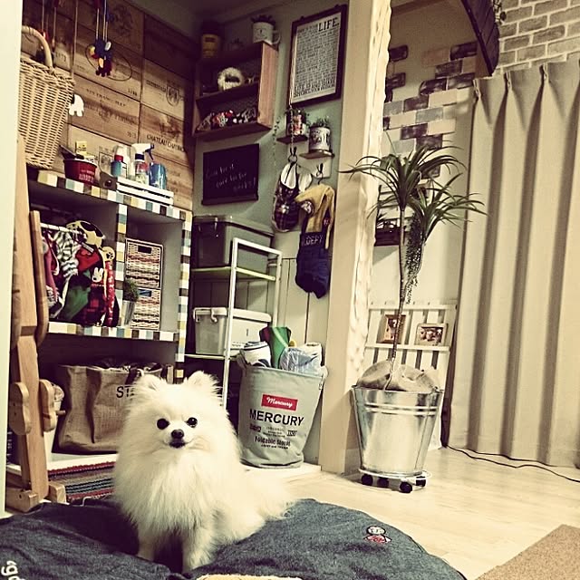 yukaさんの実例写真