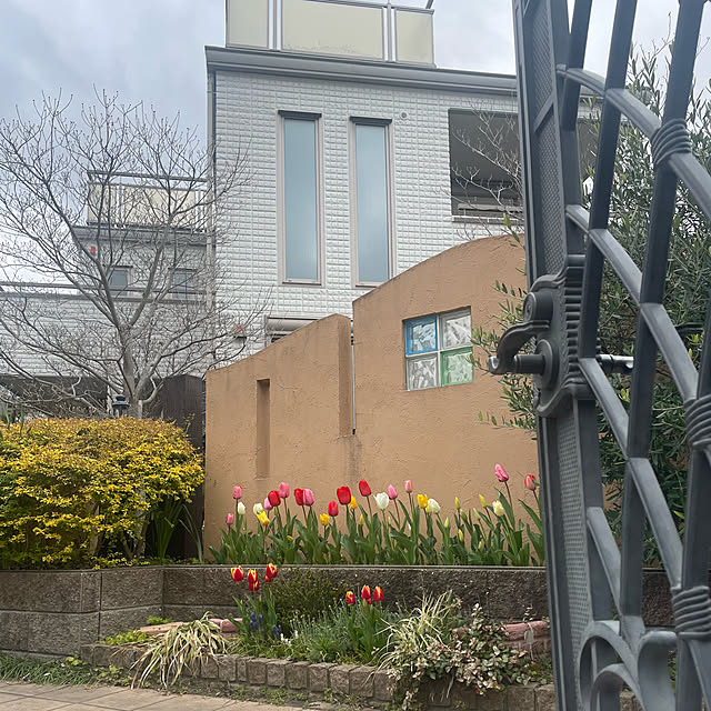 kuikoさんの部屋