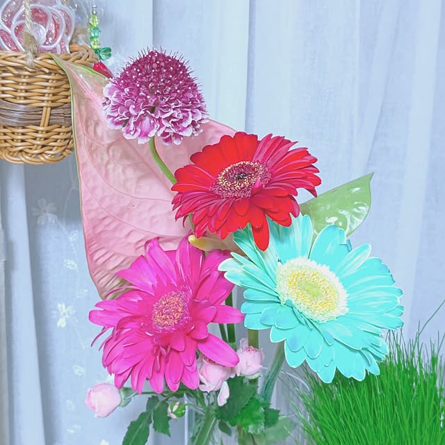 mariaさんの部屋