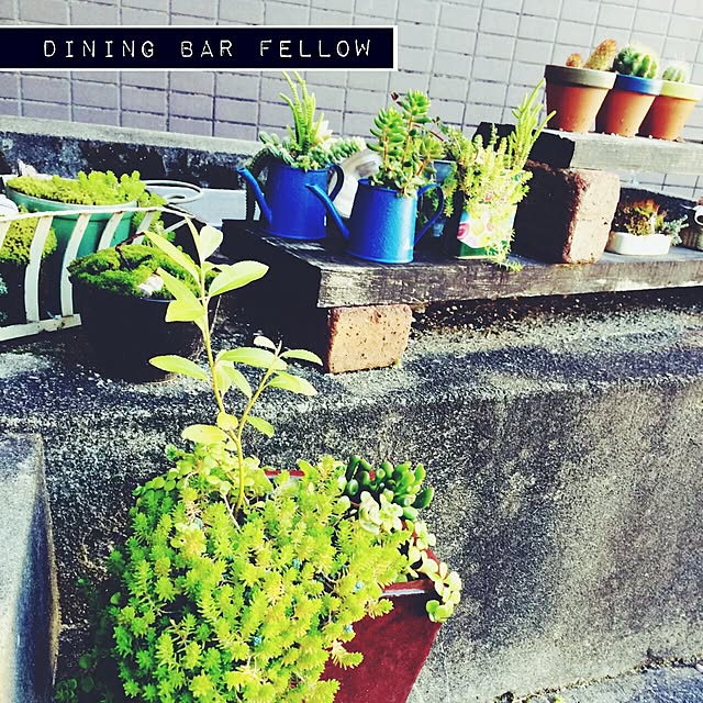 Fellowさんの実例写真