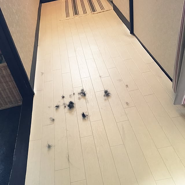 shigimiさんの実例写真