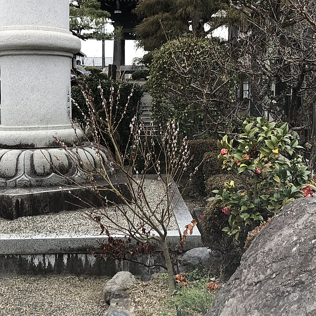 naru.miku.720さんの実例写真