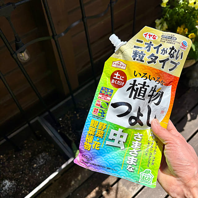 sacchiさんの部屋