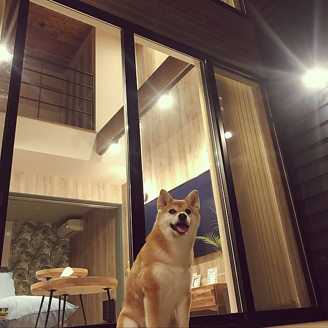 imaizumiさんの実例写真