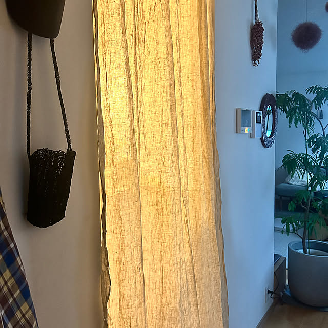 hatsugaさんの部屋
