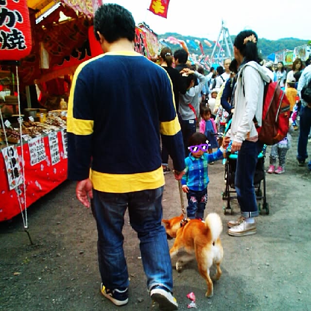 実例写真