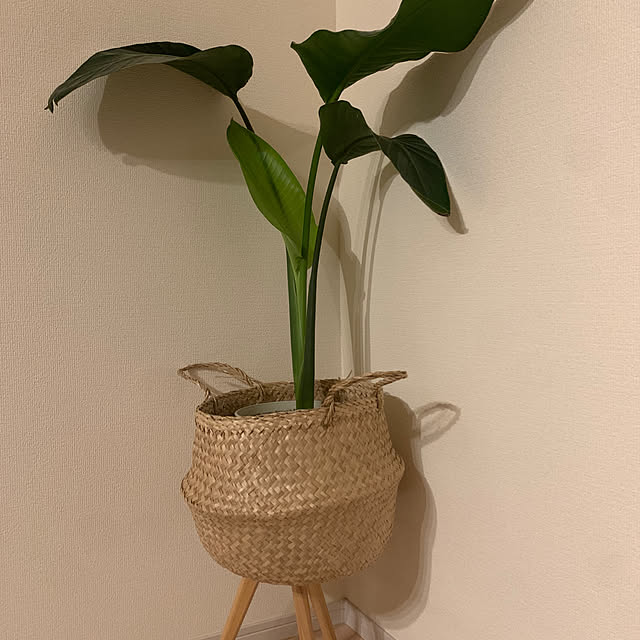 m.mさんの実例写真