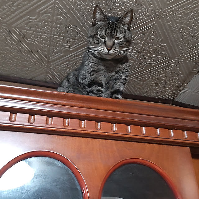 midoさんの実例写真
