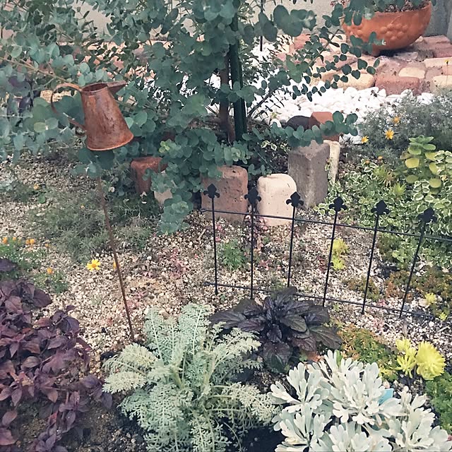 yoppyさんの実例写真