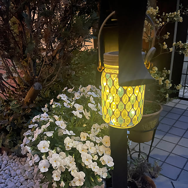 chikaさんの実例写真