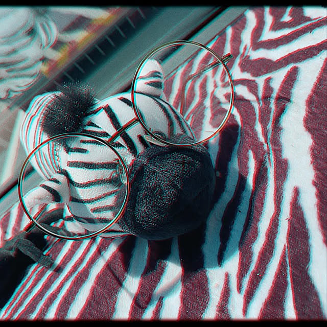 toshikunzebraさんの実例写真