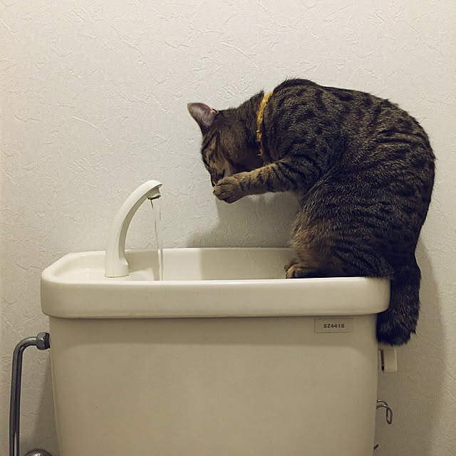 Mさんの実例写真