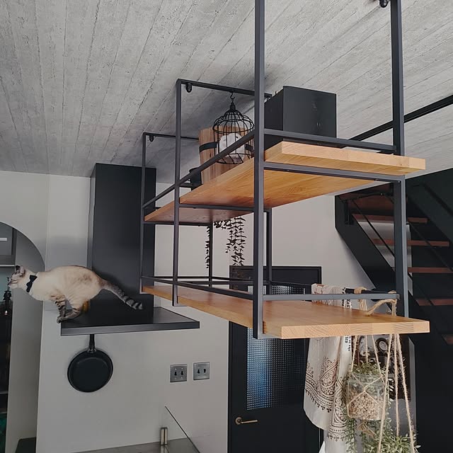 Atelier_tamakiさんの部屋