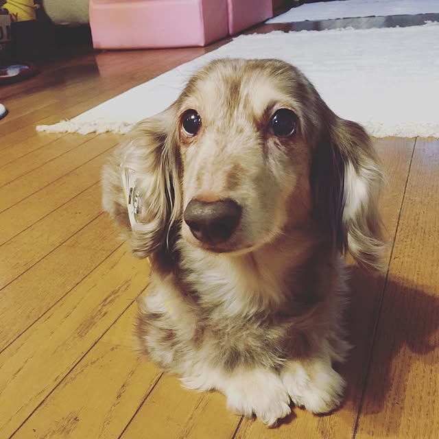 Eikoさんの実例写真