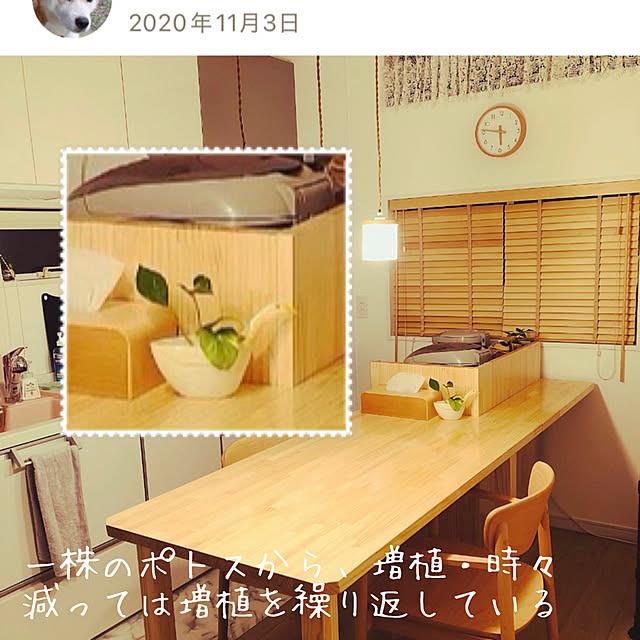 tanboさんの部屋