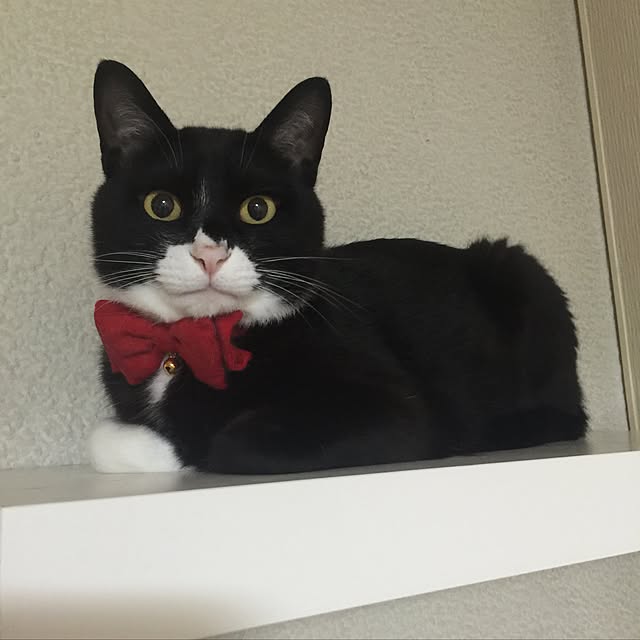 mtkさんの実例写真