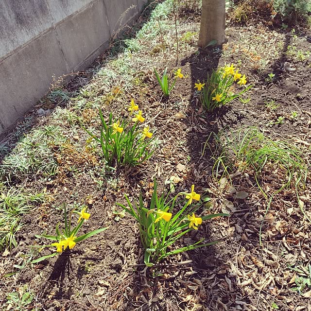 Ryokoさんの部屋