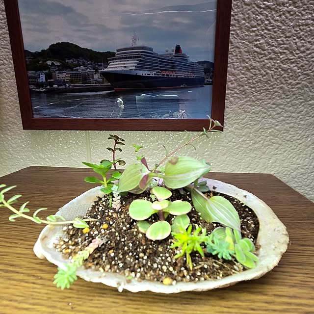 mitsuyama3136さんの部屋