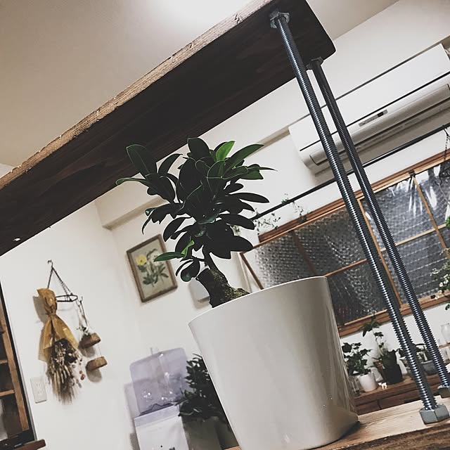 mioさんの実例写真