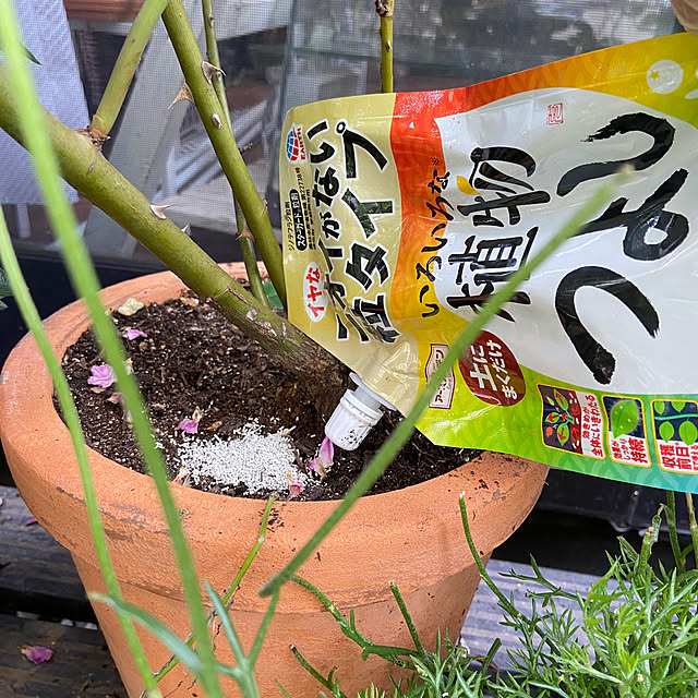 na-chanさんの部屋