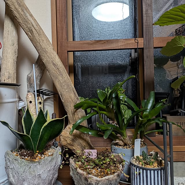 tikuwaさんの実例写真