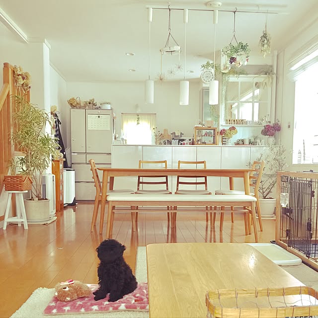 UNI.mamaさんの実例写真