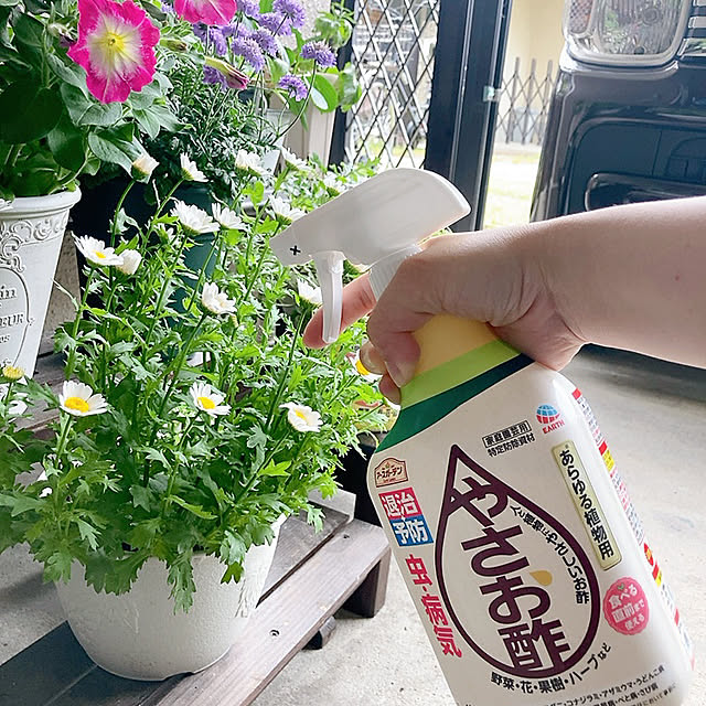 Dさんの実例写真