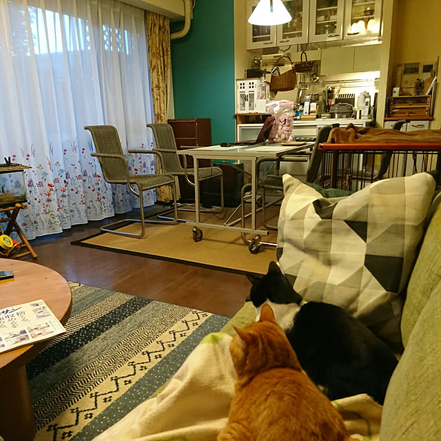 okyosan101さんの実例写真