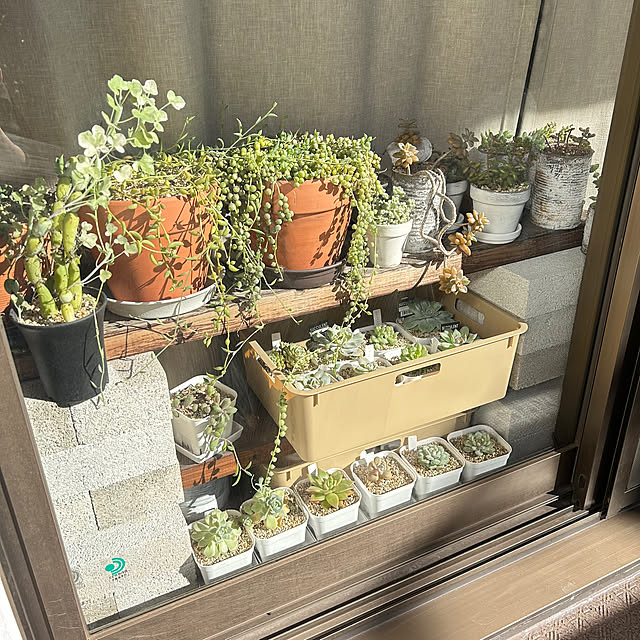 atsukoさんの部屋