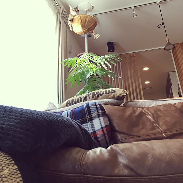 a.kndさんの実例写真