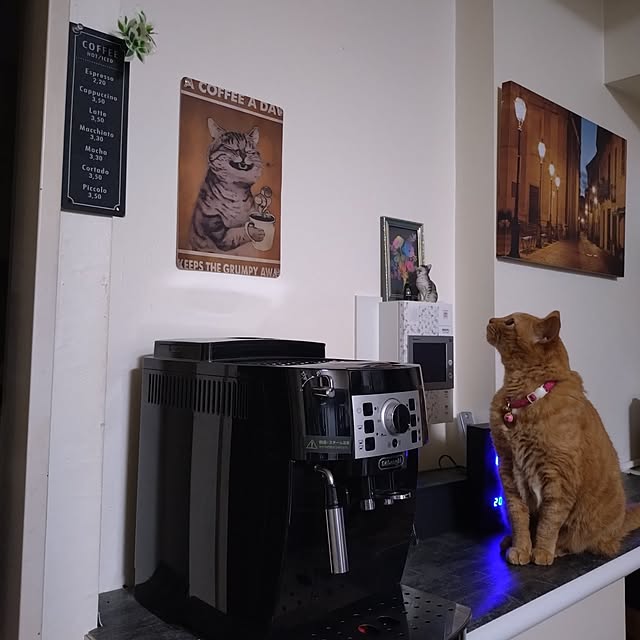 NOAHさんの部屋