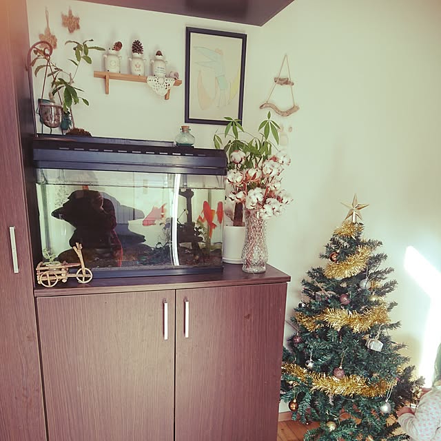 chan.chiさんの実例写真