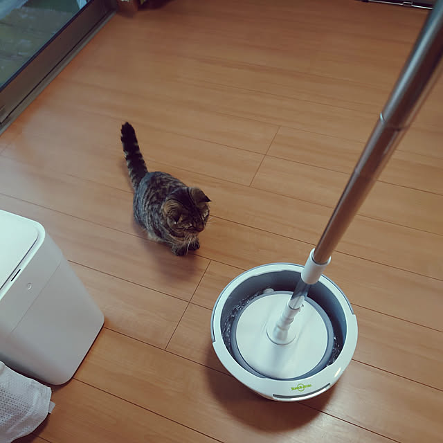 noguriさんの実例写真