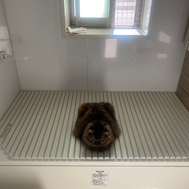 mikomaruさんの実例写真