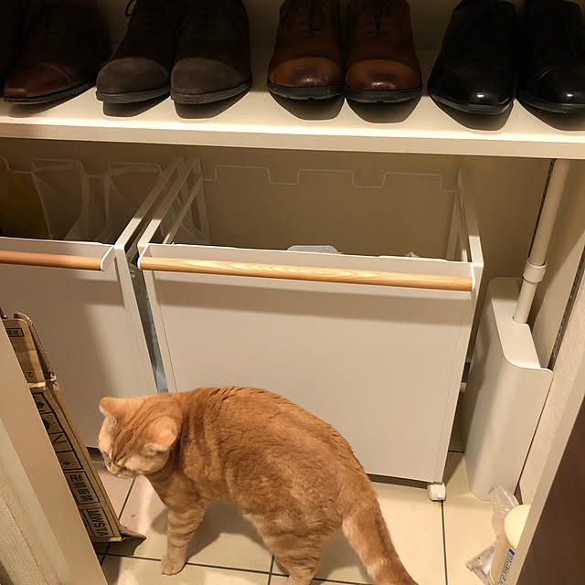 Atelier.mさんの実例写真