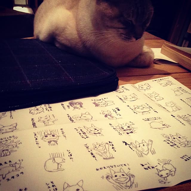 Naoki.さんの実例写真