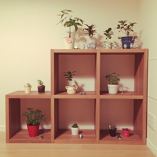 saopiさんの実例写真