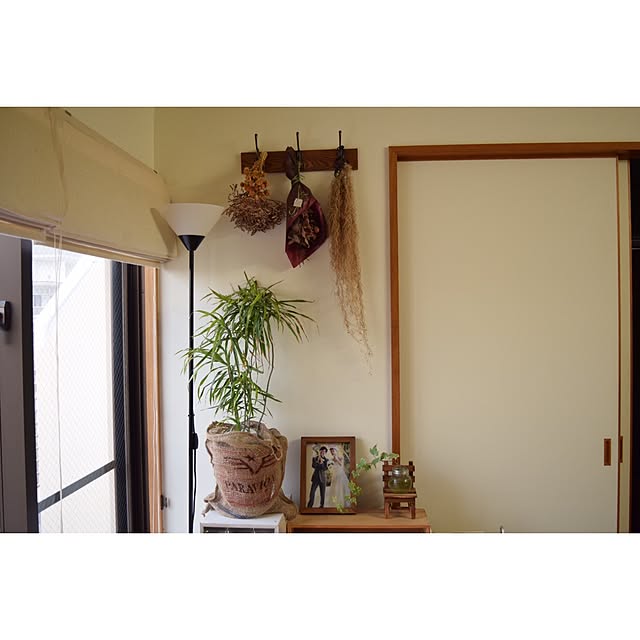 nochi_YTさんの実例写真