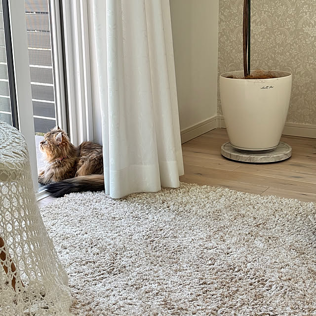 miyu39さんの部屋