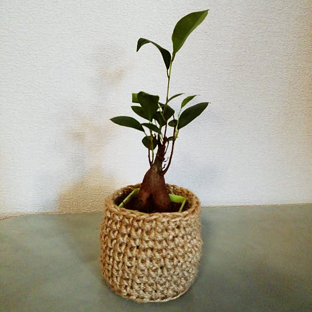 cohakuさんの実例写真