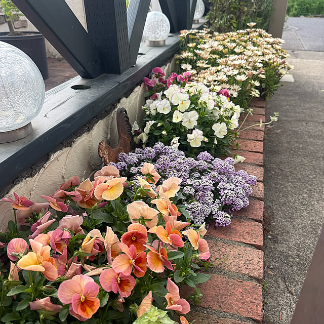 sachieyさんの部屋