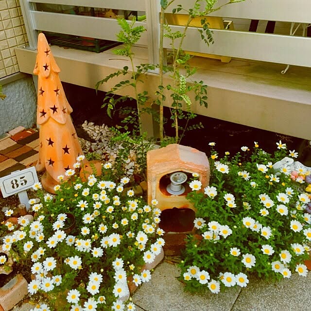 yokkochanさんの実例写真