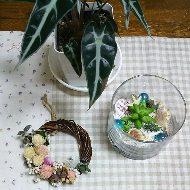 naopyiさんの実例写真