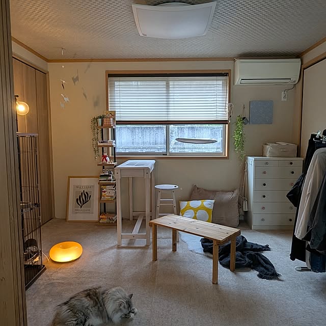 moca19さんの実例写真