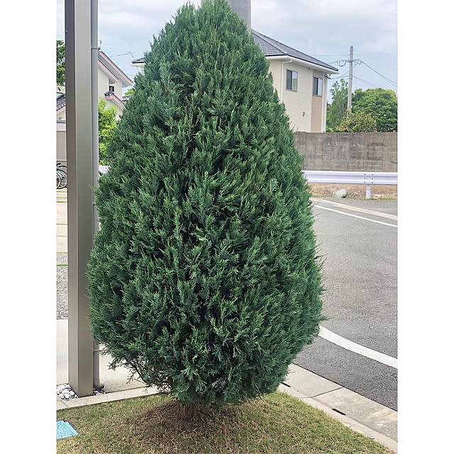 nono.0129さんの実例写真